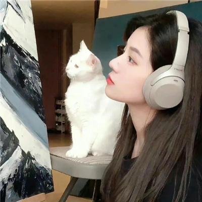 绝色追缉令